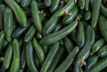 Green  cucumbers for sale at market