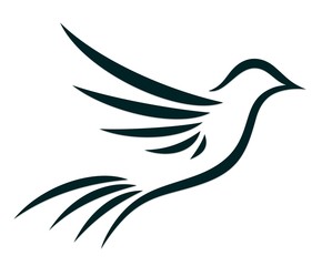 Logo of flying bird. 
