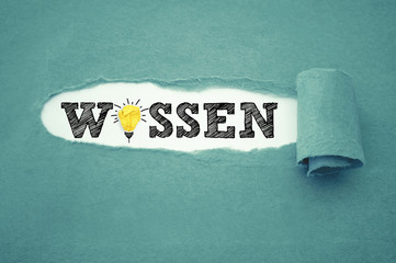 Intuition Wissen Verstand Fachwissen