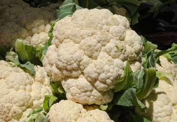 Cauliflower at the city market