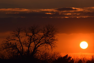 offset sun
