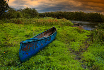 Dzika Narew © Wojciech Lisiński