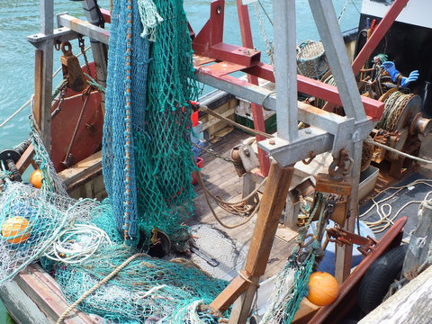 The deck of a fishing boat, seafood specialty