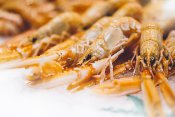 Isolated orange shrimp on ice background on the market, closeup of fresh crustacean products in restaurant, useful shellfish sea food, group frozen seafood, ocean gourmet nutrition on kitchen