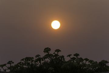 Sunset in Sanxenxo (Pontevedra, Spain).