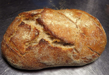 Fresh homemade sourdough bread on stainless steel counter