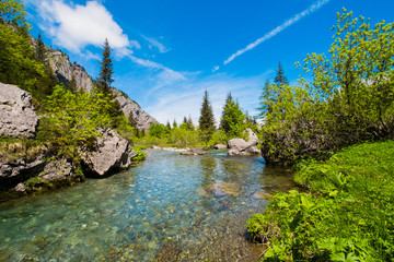Mountain river
