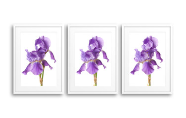 Interior design wallpaper, Irises in modern frames, collage mock up