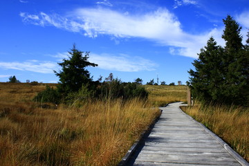 Hornisgrinde Schwarzwald Mummelsee
