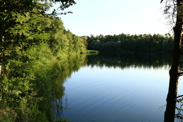 reflection of trees in a lake