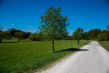 Weg am Segelflugplatz