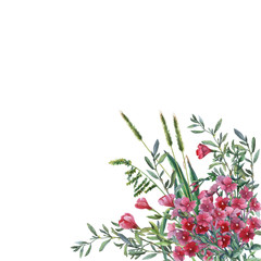 Colorful spring flowers and grass on a meadow. Watercolor hand painting illustration on isolate white background.  