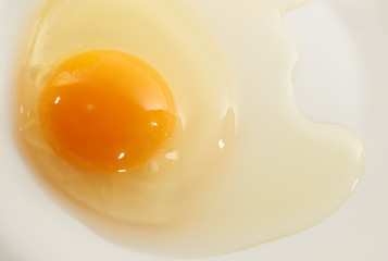 Egg on white plate