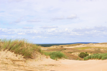 Fototapeta na wymiar View of Dead Dunes, Nida, Klaipeda, Lithuania.
