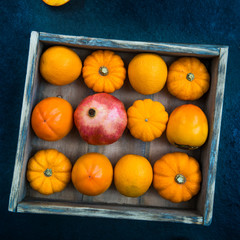 Persimmon Fruits, Pomegranate, Oranges, Pumpkins