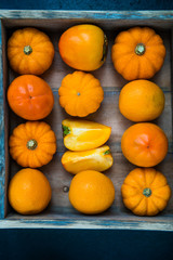 Late Autumn Orange Harvest Fruits and Vegetable