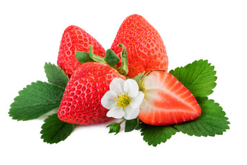 fresh organic strawberry with leaves and flower on white