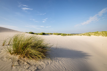 Fototapeta premium Dünen Gras und Sand