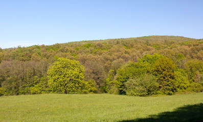 The landscapes of the National Park Fruska Gora, Serbia