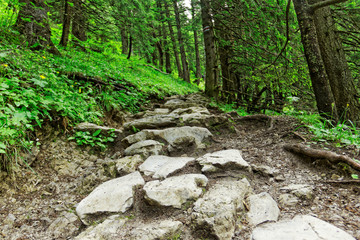 Obraz premium rocky mountain trail