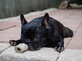 Don't touch her bone