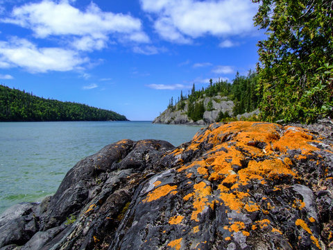 bright orange lichen on black rocks with lake in the distance