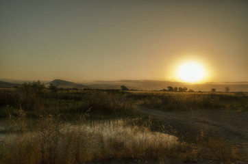 Fototapeta na wymiar Yellow field at sunset