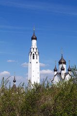 SAINT PETERSBURG RUSSIA - MAI 07, 2014: Church of St Peter the Apostle in the middle park