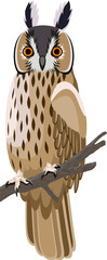 vector long-eared owl