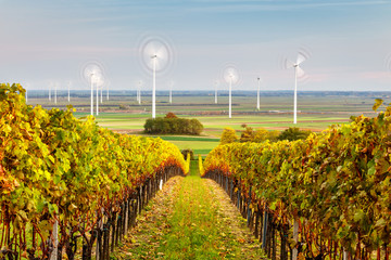 Power turbines and vineyards nearby village Berg, Burgenland, Austria