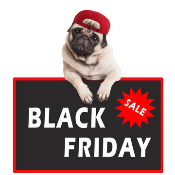 cute pug puppy dog hanging with paws on sign with text black friday, on white background