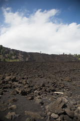 Volcanic Ash from Etna