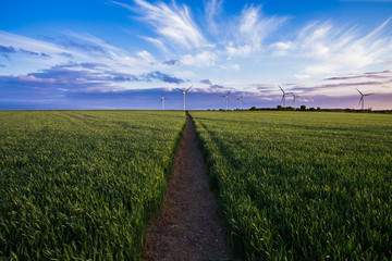 Fototapeta na wymiar Wind turbines in field