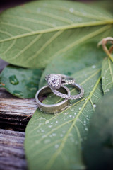 Wedding Rings on dewy leaf