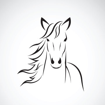 Fototapeta Vector of a horse head design on white background. Farm Animal. 