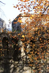 Obraz premium Old walls of the castle