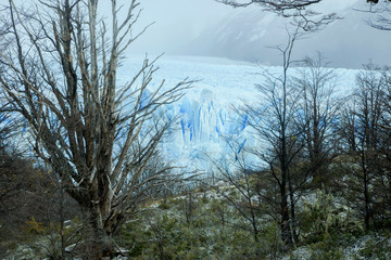 PERITO MORENO GLACIER, PATAGONIA ARGENTINA