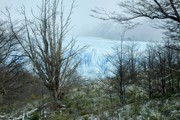 PERITO MORENO GLACIER, PATAGONIA ARGENTINA