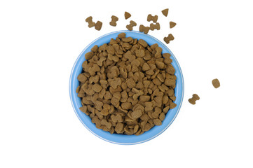 Dried pet food in blue bowl isolated on white