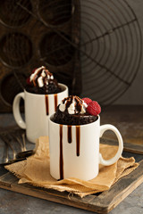 Chocolate cake in the mug