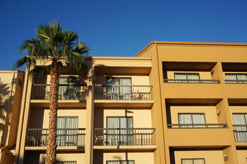 Fototapeta na wymiar palm tree and building in sunlight