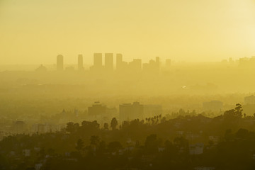 Fototapeta na wymiar Los Angeles Westwood Sunset Cityscape from Griffith Park