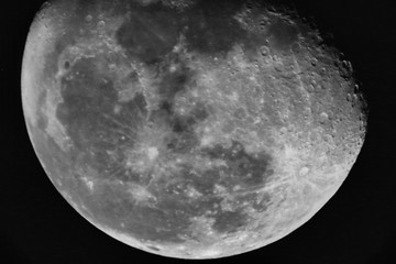 Moon Closeup (black and white)