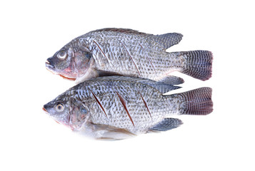 Gutted, scaled and sliced Nile Tilapia fish on white background