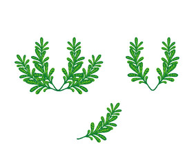  floral wreath isolated on white background