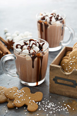 Hot cocoa with marshmallows and cookies
