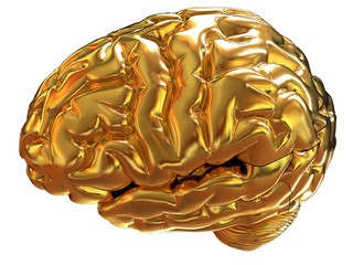 Gold brain. 3d render