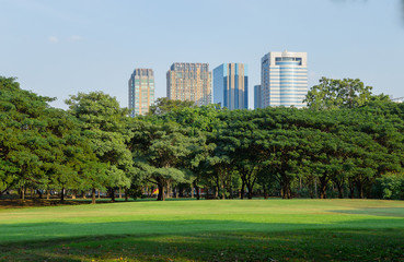 Fototapeta na wymiar park in city, Bangkok, Thailand