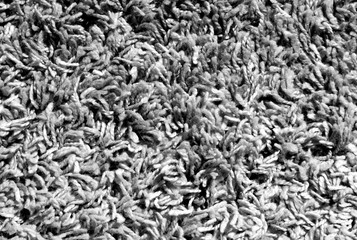 Black and white color carpet surface.