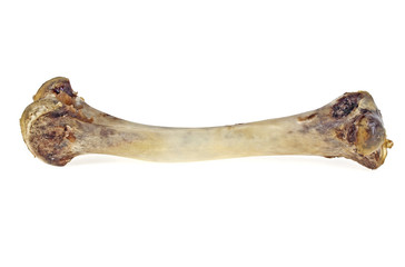 Chicken bone on white background